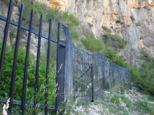 Fotetes de cantus. 1 1