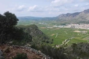 image 0 compressed 1