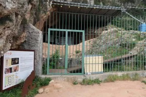 image 1 compressed 1