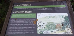 image 2 compressed 1