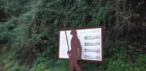 image 3 compressed 1