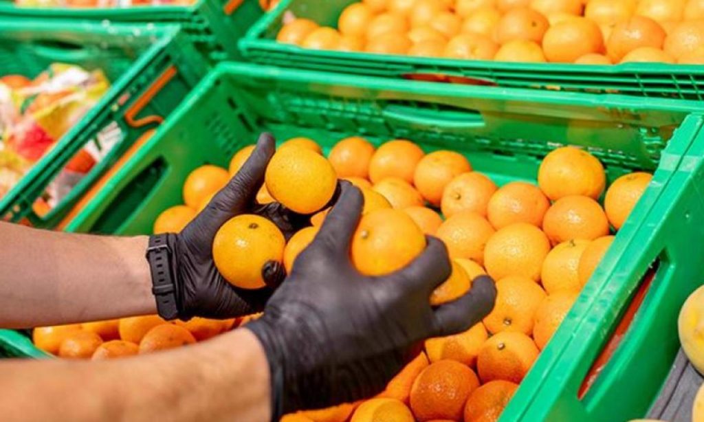 de donde son las naranjas y mandarinas de mercadona